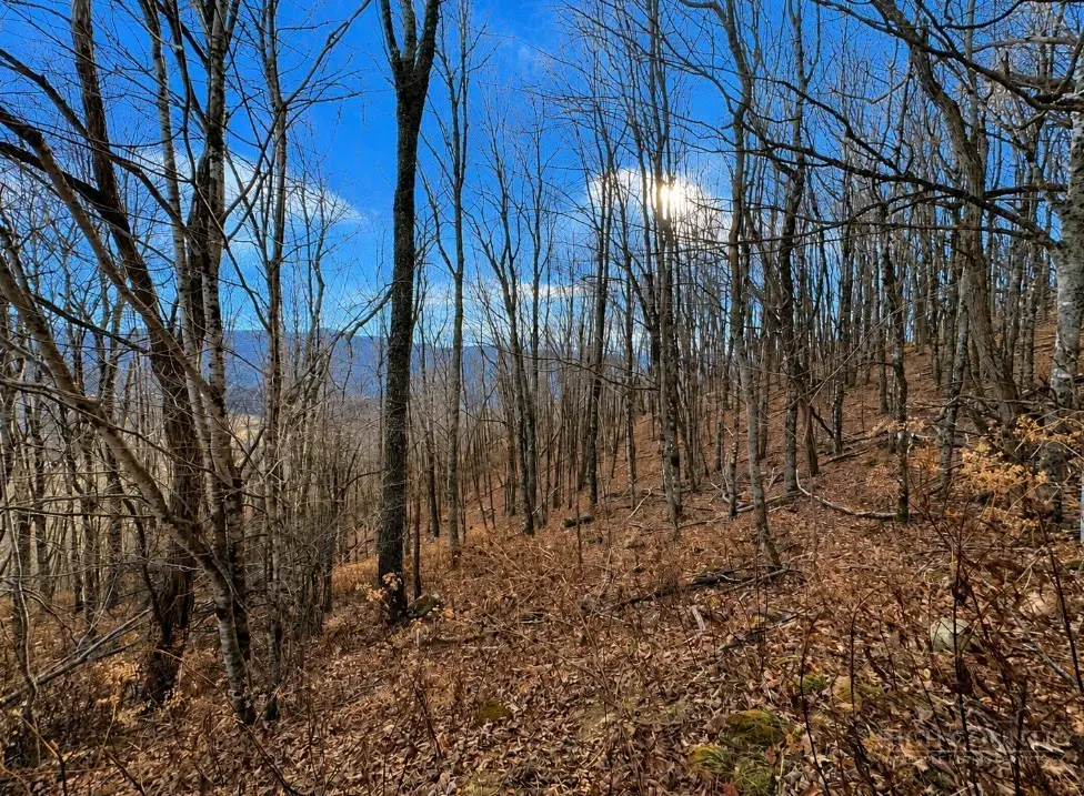 TBD Wakeman Way, Banner Elk, NC 28604 - #1