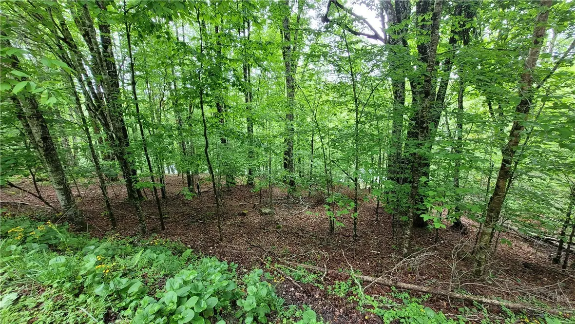 130 E Blueberry Lane, Beech Mountain, NC 28604 - #1