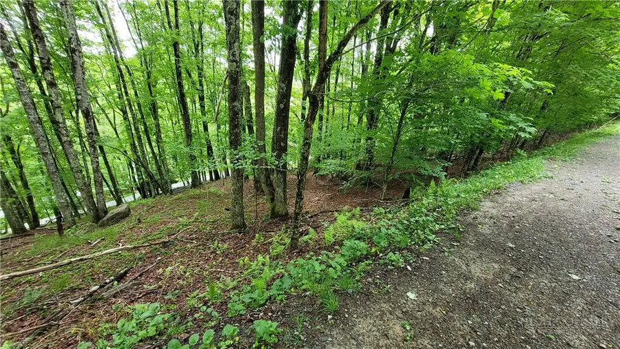 130 E Blueberry Lane, Beech Mountain, NC 28604 - #3