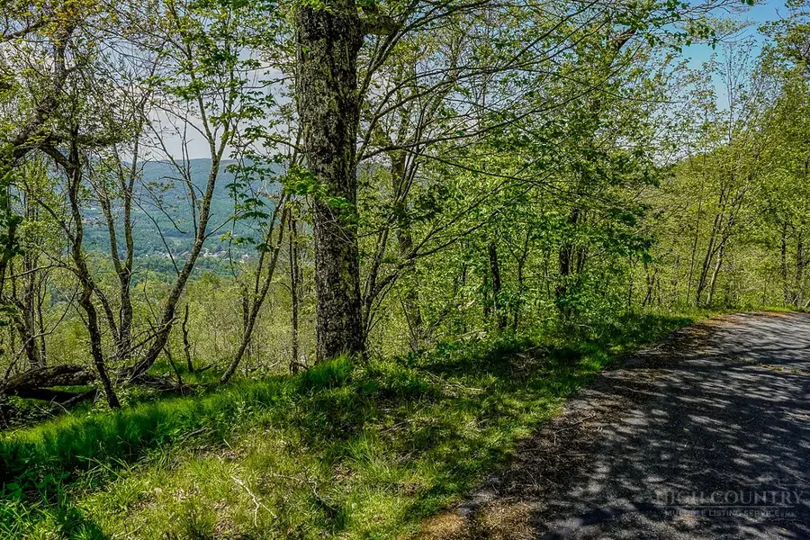 Lot 7 Emerald Court, Beech Mountain, NC 28604 - #2