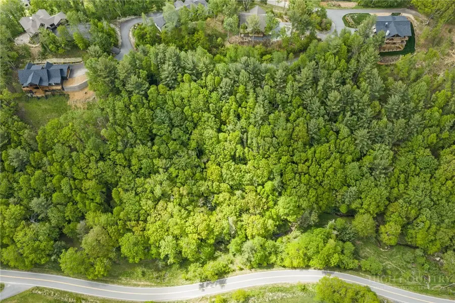 Lot 38 White Fox Lane, Banner Elk, NC 28604 - #3