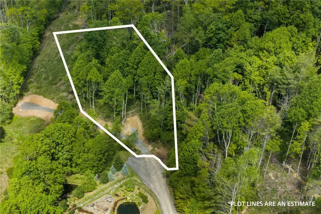 Lot 44 W Silver Springs Drive, Banner Elk, NC 28604 - #1