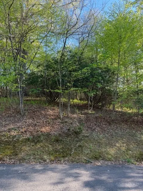 Lot #29 Isabel Way, Piney Creek, NC 28663 - #1