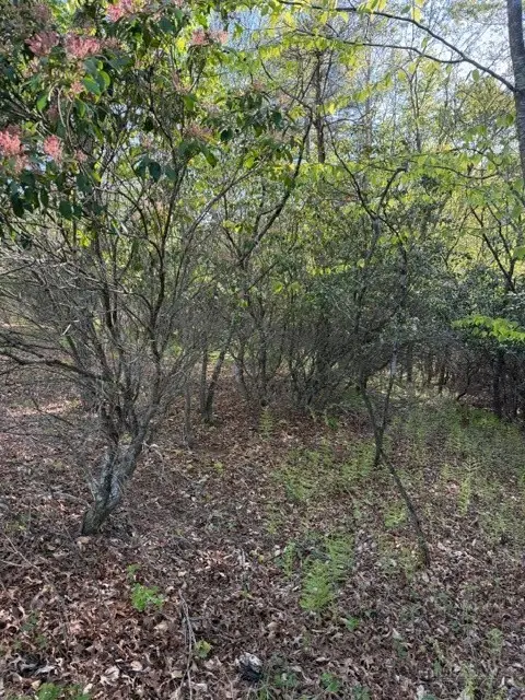 Lot #29 Isabel Way, Piney Creek, NC 28663 - #2