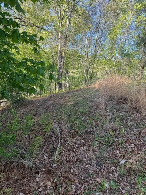 Lot #29 Isabel Way, Piney Creek, NC 28663 - #3