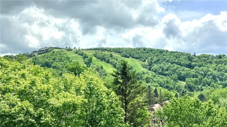 104 Snowplow Lane #7, Beech Mountain, NC 28604 - #3