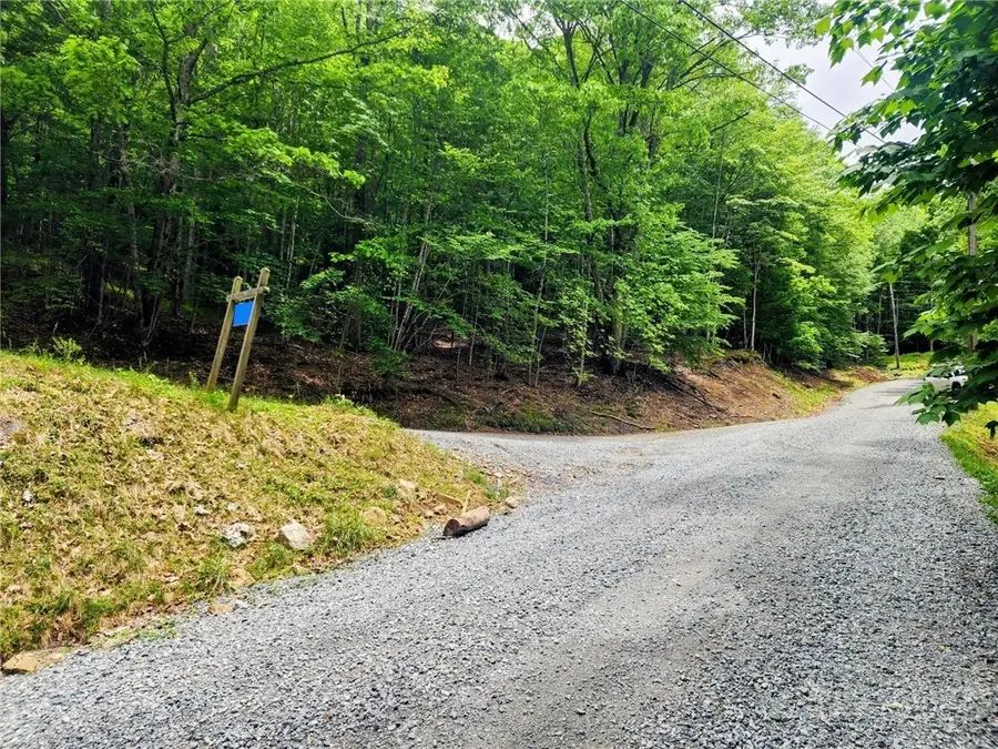 136 Locust Ridge Road, Beech Mountain, NC 28604 - #3