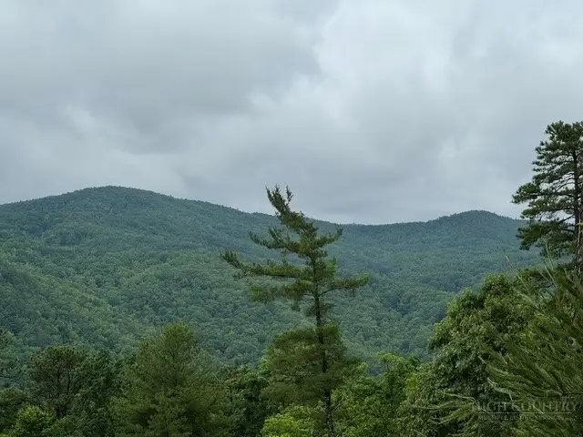 35, 36, 37 Big Sky Road, Ferguson, NC 28624 - #1