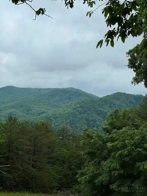 35, 36, 37 Big Sky Road, Ferguson, NC 28624 - #2