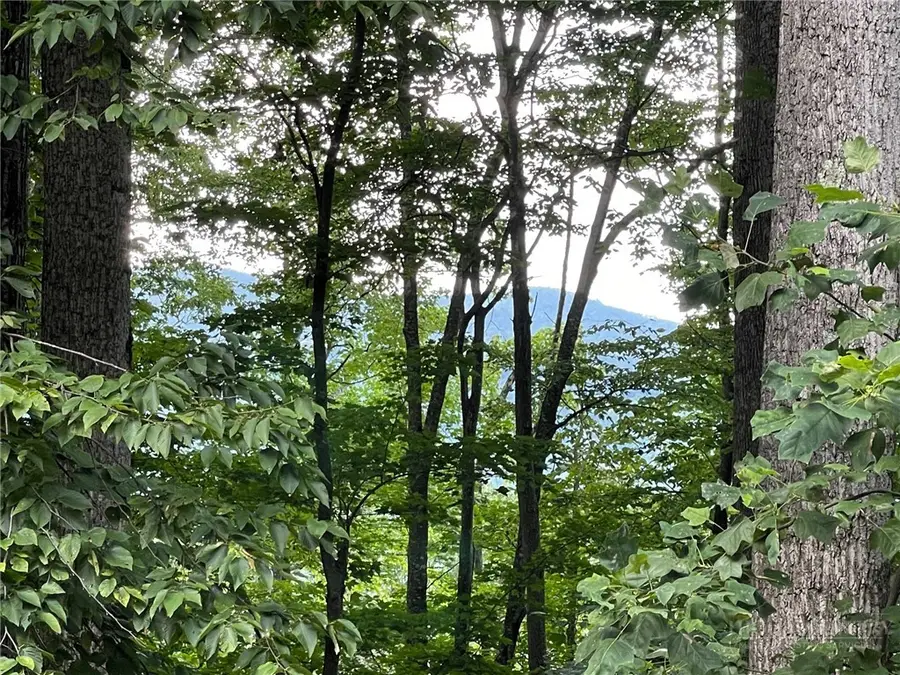 926 Pine Ridge Road, Beech Mountain, NC 28604 - #2
