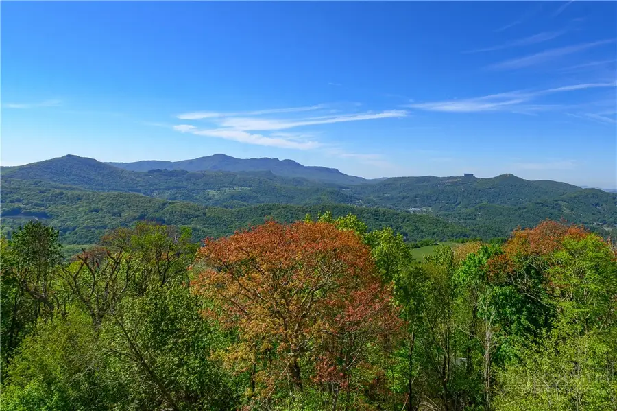 510 Elderberry Ridge Road #F201, Beech Mountain, NC 28604 - #3