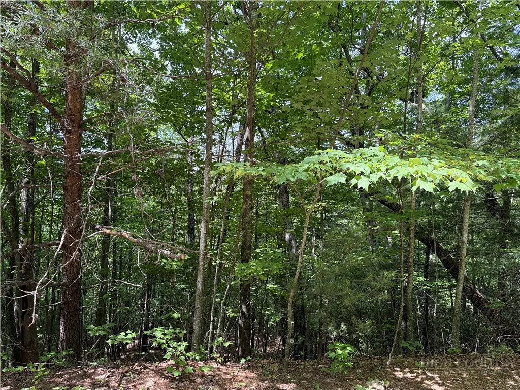 Lot 132A Warren Way Road, Purlear, NC 28665 - #1