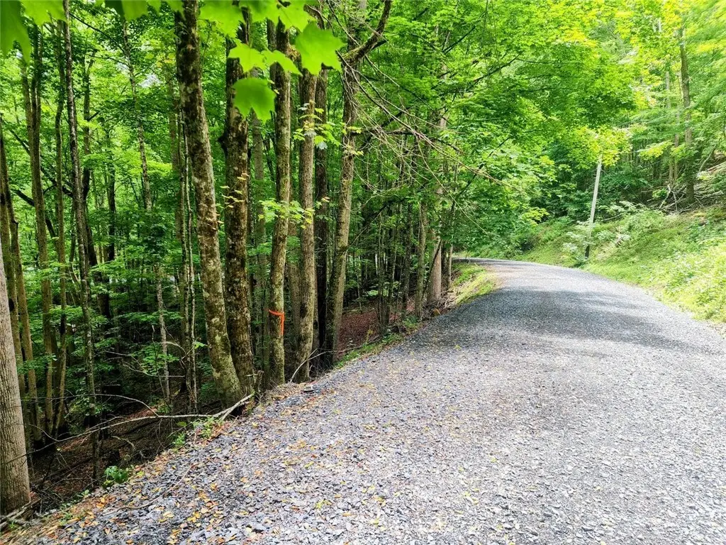 139 Raccoon Road, Beech Mountain, NC 28604 - #1