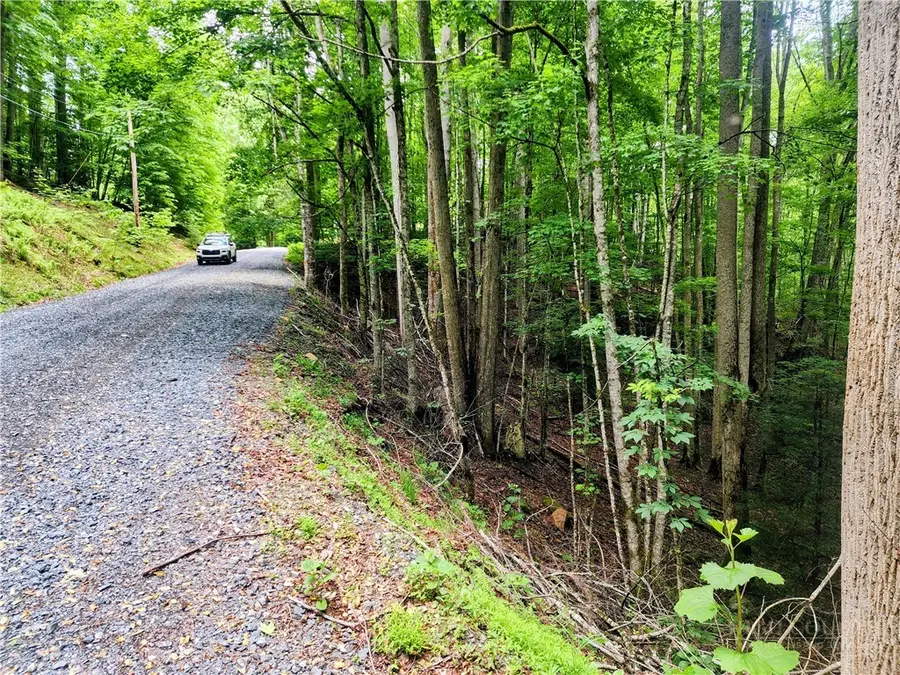 139 Raccoon Road, Beech Mountain, NC 28604 - #2