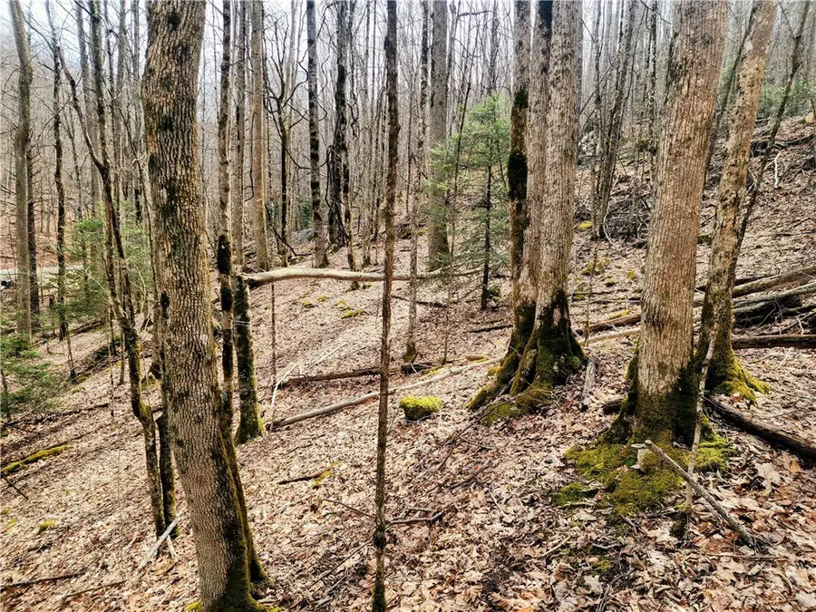 139 Raccoon Road, Beech Mountain, NC 28604 - #3