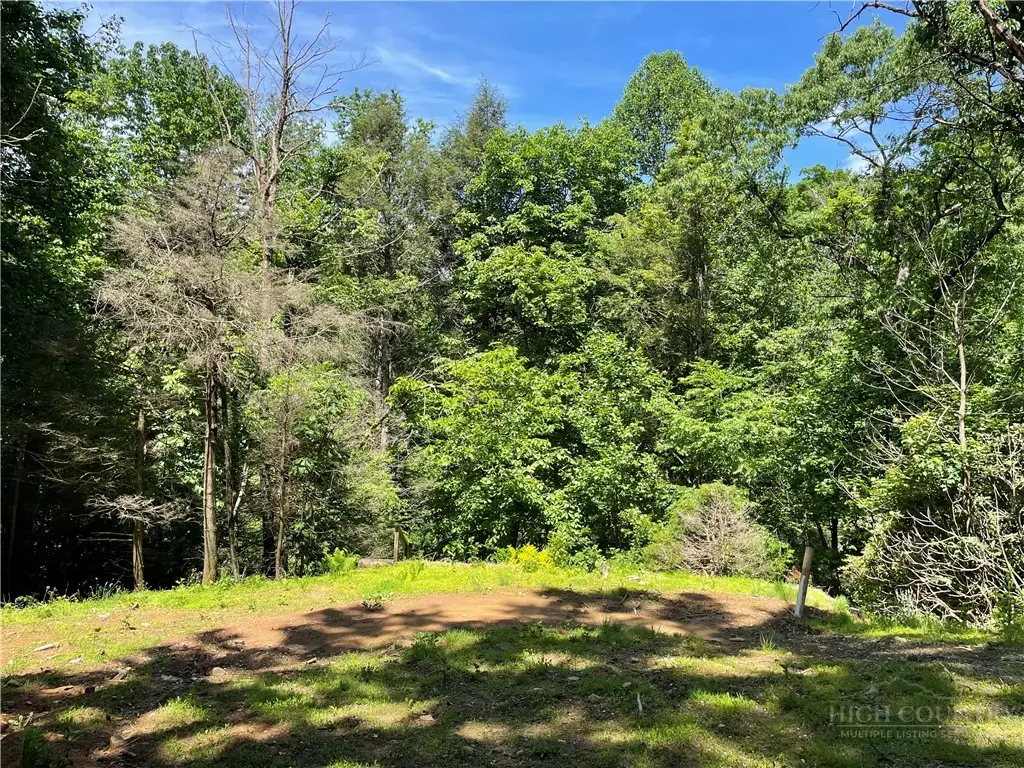 156 Dragonfly Lane, Boone, NC 28607 - #1