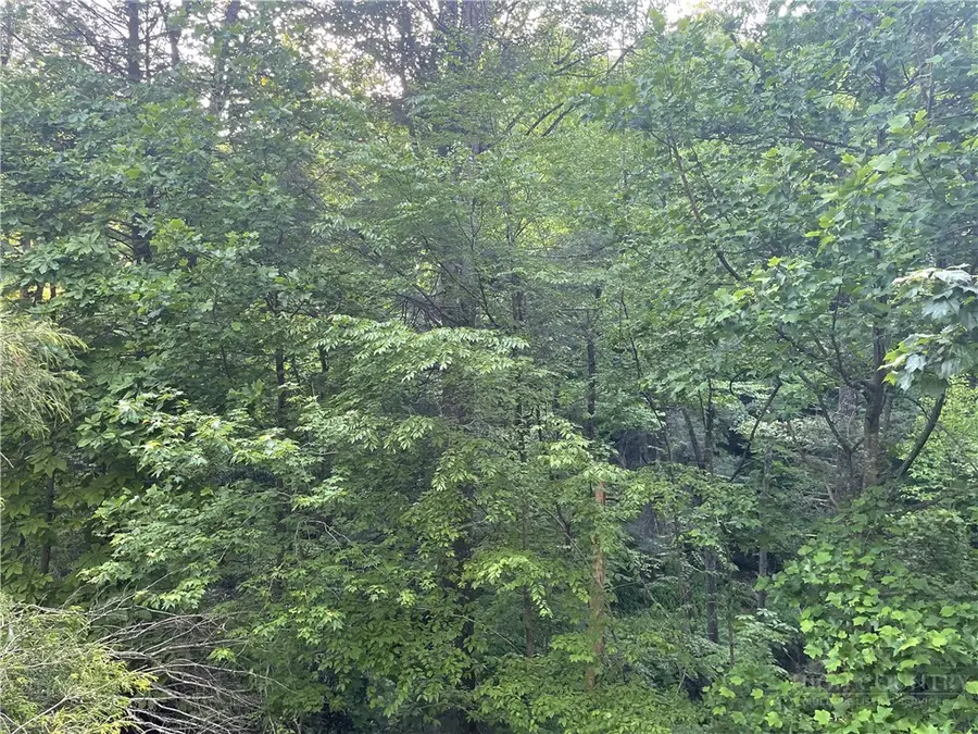 156 Dragonfly Lane, Boone, NC 28607 - #3