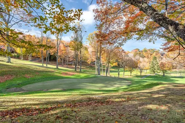 101 Golf View Drive #A-1, Beech Mountain, NC 28604