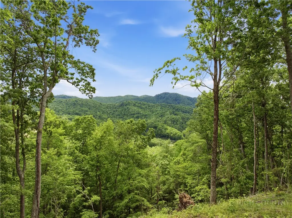 Lot 191 Raspberry Lane, Elk Park, NC 28622 - #1