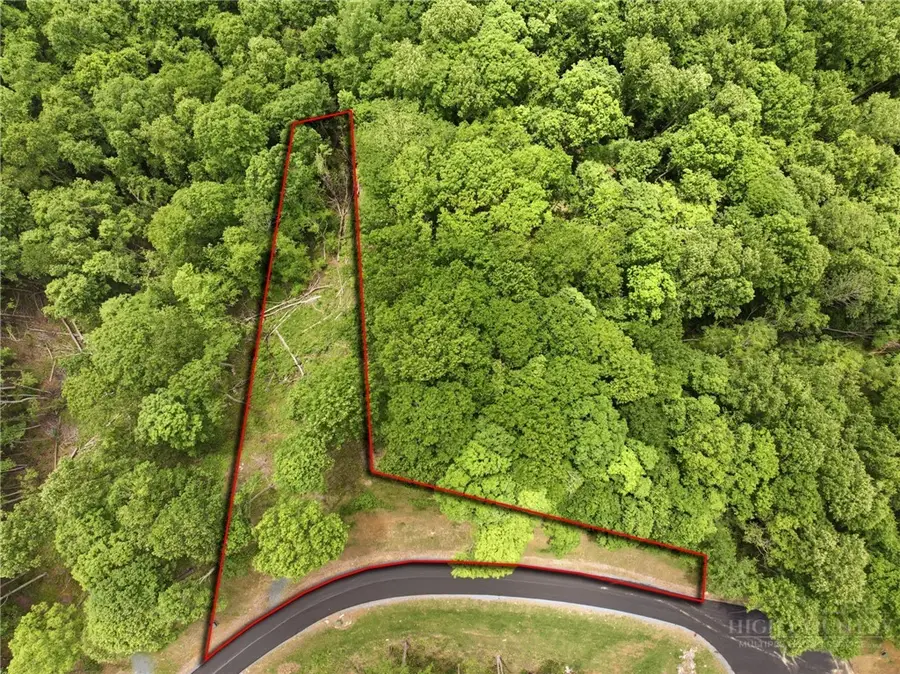 Lot 191 Raspberry Lane, Elk Park, NC 28622 - #3