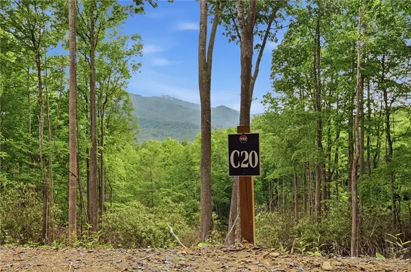 C20 Autumnwood Trace, Elk Park, NC 28622