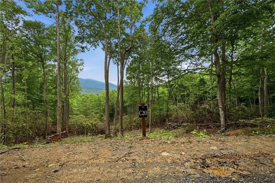 C20 Autumnwood Trace, Elk Park, NC 28622 - #2