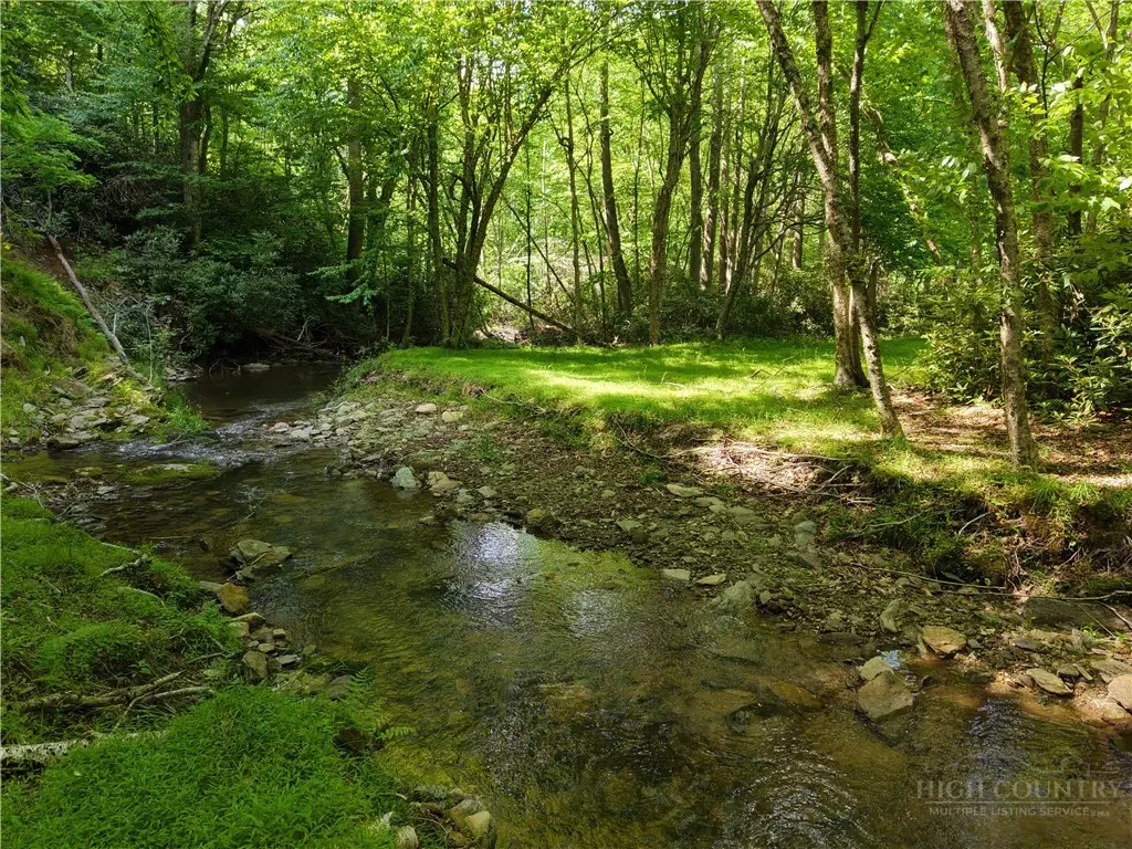 TBD Trailing Cedar Lane, Boone, NC 28607 - #1