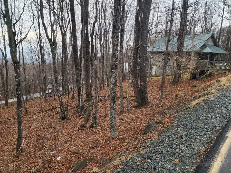 153 Pond Creek Road, Beech Mountain, NC 28604 - #2