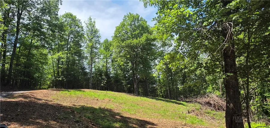 439 Howell Road, Lansing, NC 28643 - #2