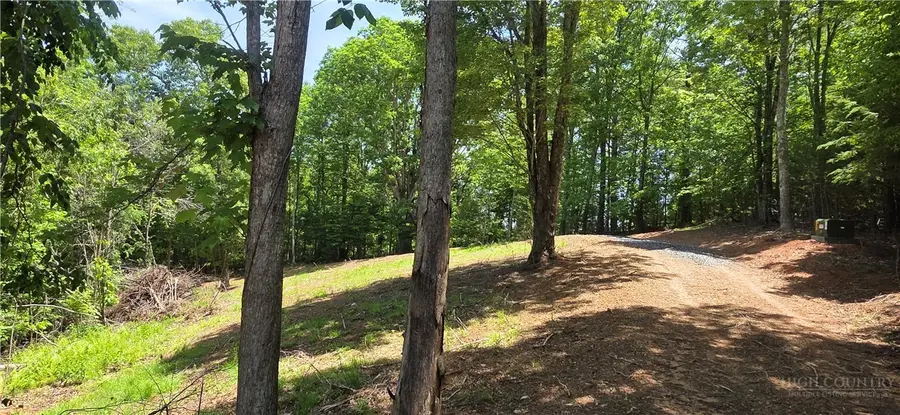 439 Howell Road, Lansing, NC 28643 - #3