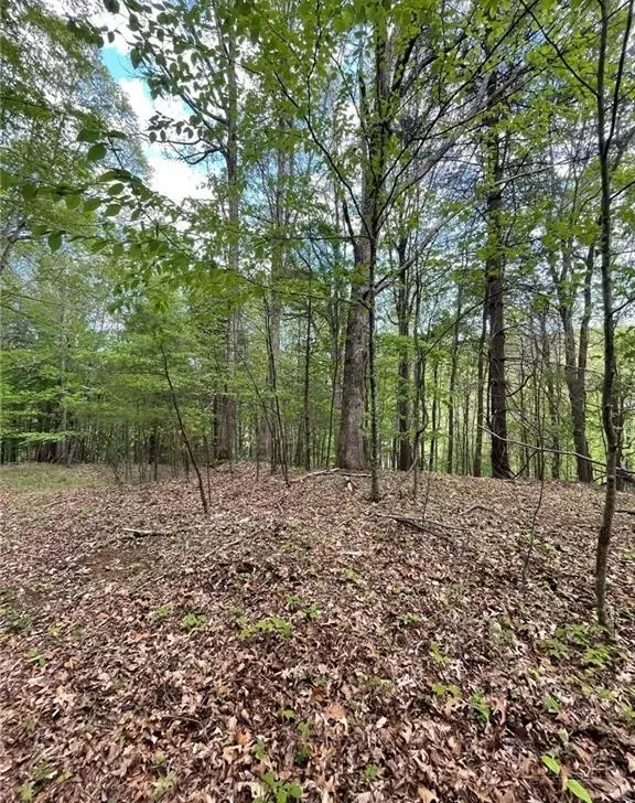 TBD Edwin Blevins Road, Jefferson, NC 28640