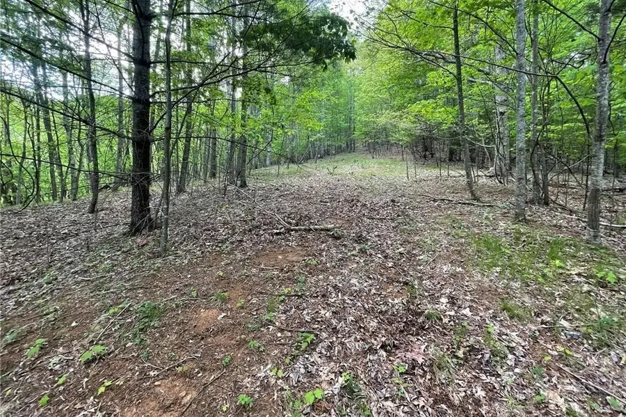 TBD Edwin Blevins Road, Jefferson, NC 28640 - #2