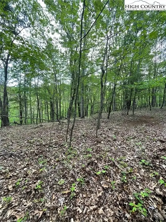 TBD Edwin Blevins Road, Jefferson, NC 28640 - #3