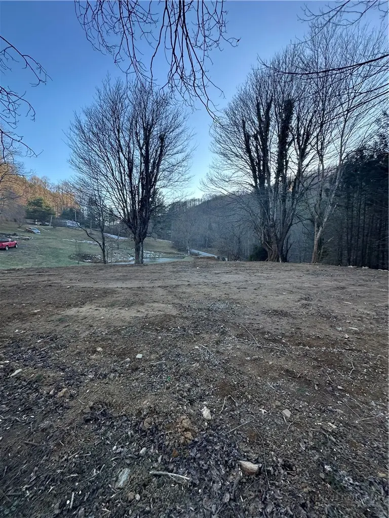 45 Windy Hollow Lane, Newland, NC 28657 - #3