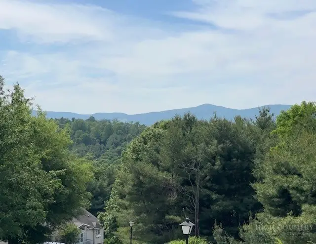 114 Club Villa Drive #300, Roaring Gap, NC 28668 - #3