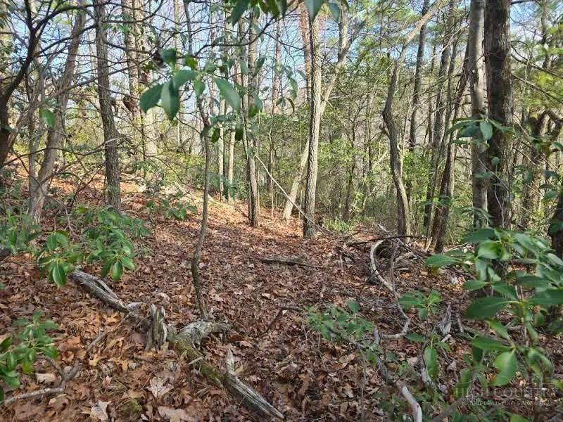 Lot 10 Heavenly Mountain Dr Drive, Boone, NC 28607 - #2