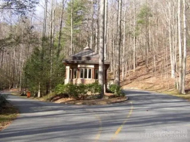 Lot 10 Heavenly Mountain Dr Drive, Boone, NC 28607 - #3