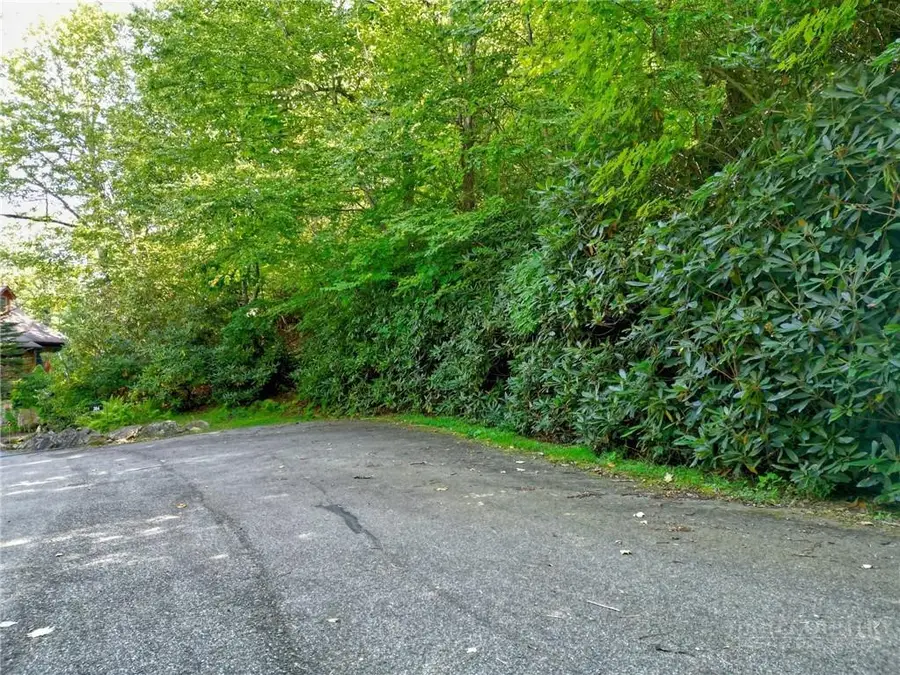 TBD Highland Lakes Road, Blowing Rock, NC 28605 - #2