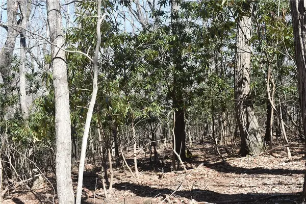 Lot 31 Hillside Lane, Jefferson, NC 28640