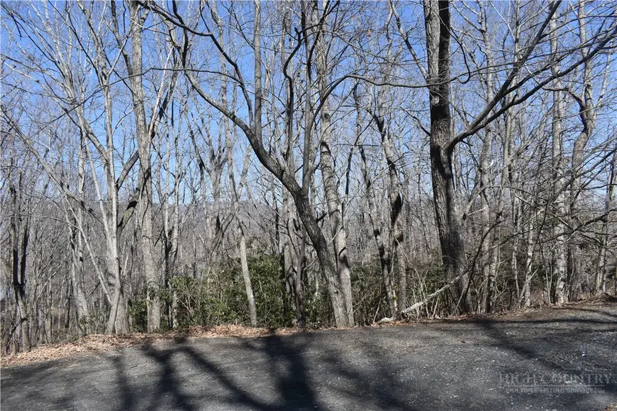 Lot 31 Hillside Lane, Jefferson, NC 28640 - #3