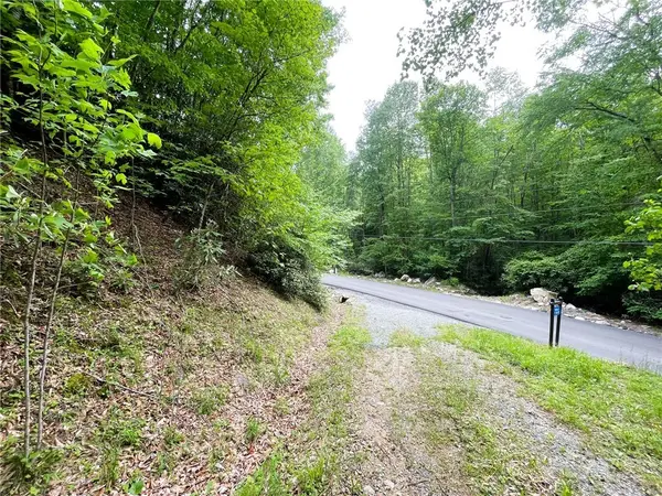 100 Chicory Lane, Beech Mountain, NC 28604