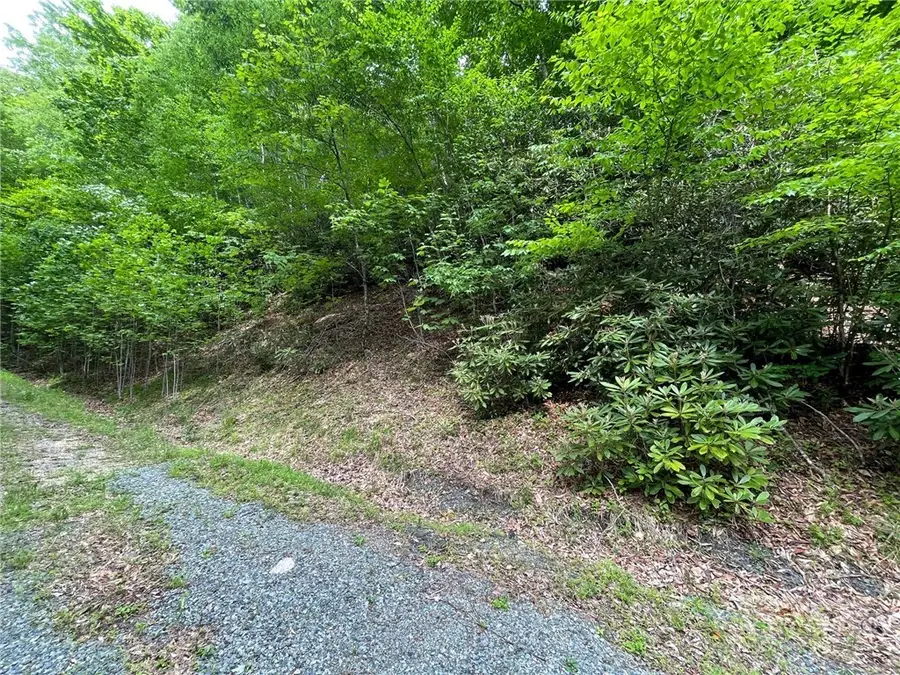100 Chicory Lane, Beech Mountain, NC 28604 - #2