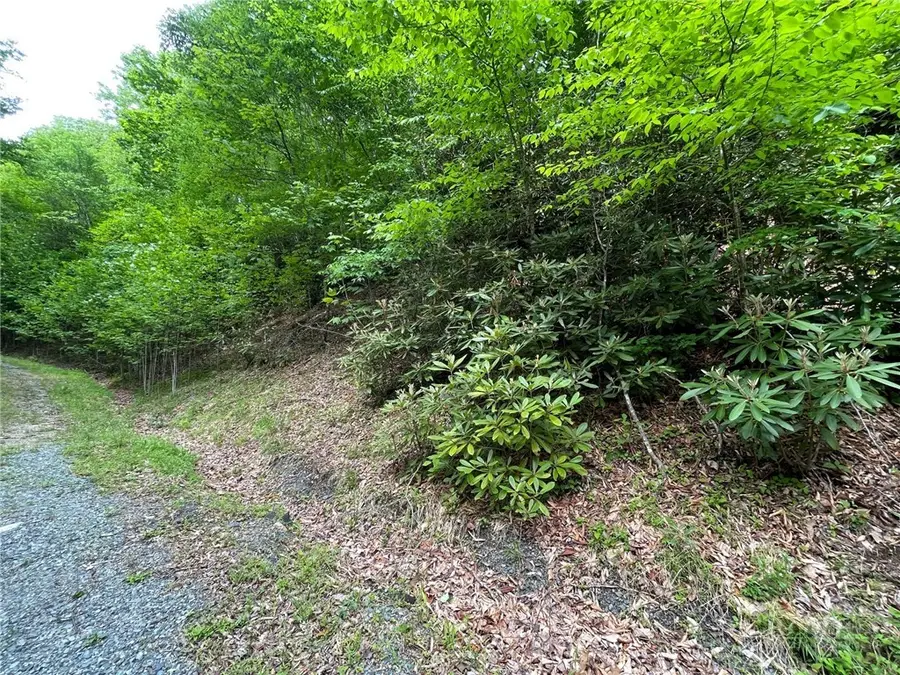 100 Chicory Lane, Beech Mountain, NC 28604 - #3