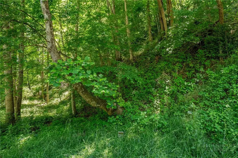 TBD Smith Street, Vilas, NC 28692 - #2