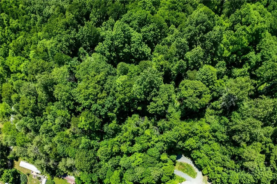 TBD Smith Street, Vilas, NC 28692 - #3