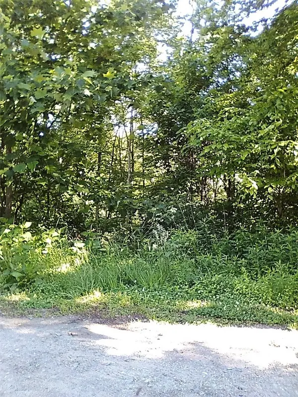 tbd N 321 Highway, Sugar Grove, NC 28679