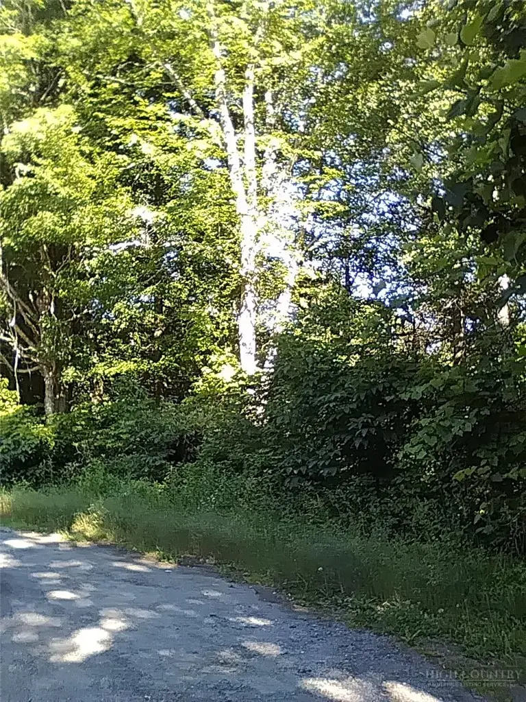 tbd N 321 Highway, Sugar Grove, NC 28679 - #3