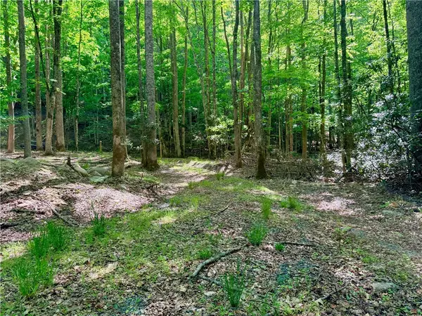 Lot 5A Buckeye Ridge Road, Beech Mountain, NC 28604