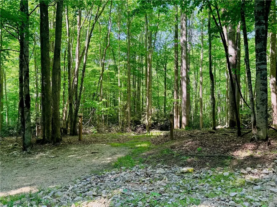 Lot 5A Buckeye Ridge Road, Beech Mountain, NC 28604 - #3