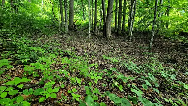 Lot 18 Elk Creek Mountain Parkway, Todd, NC 28684